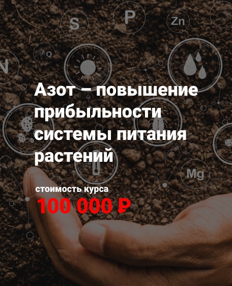 Азот – повышение прибыльности системы питания растений
