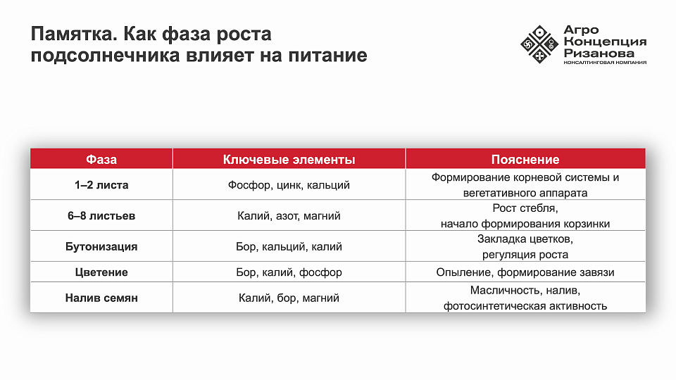 Питание подсолнечника: особенности физиологии и управление питанием
